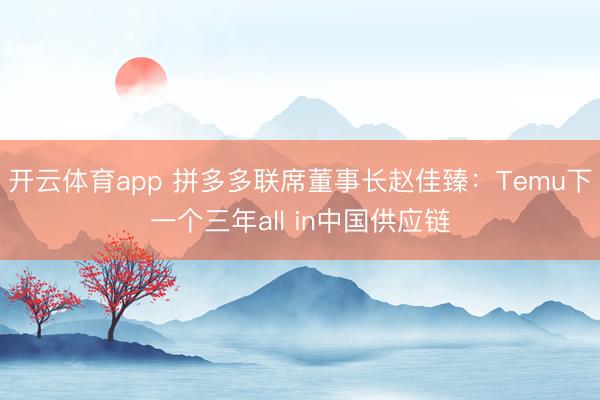 开云体育app 拼多多联席董事长赵佳臻：Temu下一个三年all in中国供应链