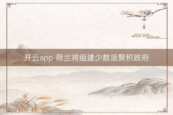 开云app 荷兰将组建少数派聚积政府