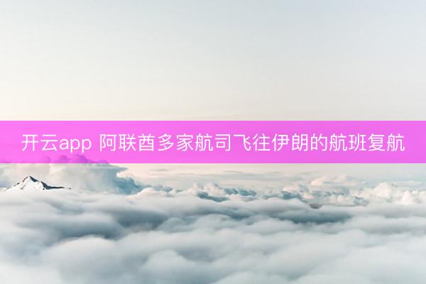 开云app 阿联酋多家航司飞往伊朗的航班复航