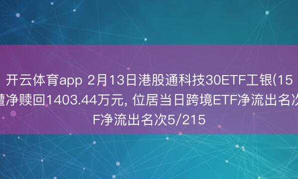 开云体育app 2月13日港股通科技30ETF工银(159636)遭净赎回1403.44万元, 位居当日跨境ETF净流出名次5/215