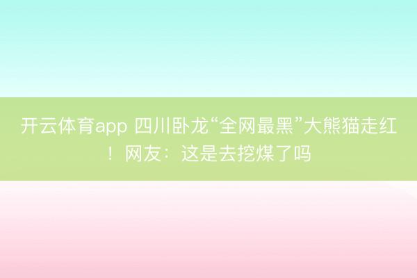 开云体育app 四川卧龙“全网最黑”大熊猫走红！网友：这是去挖煤了吗