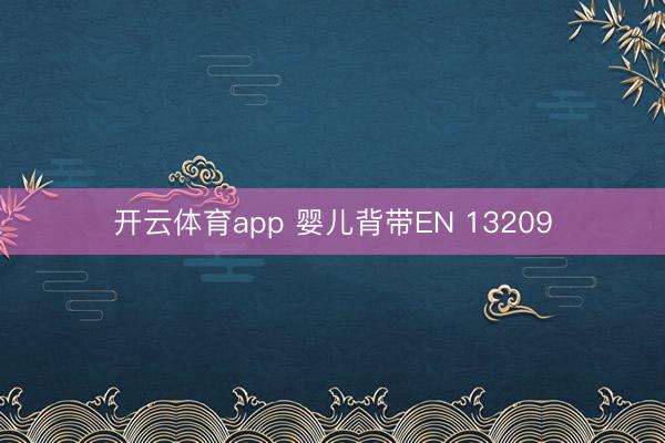 开云体育app 婴儿背带EN 13209