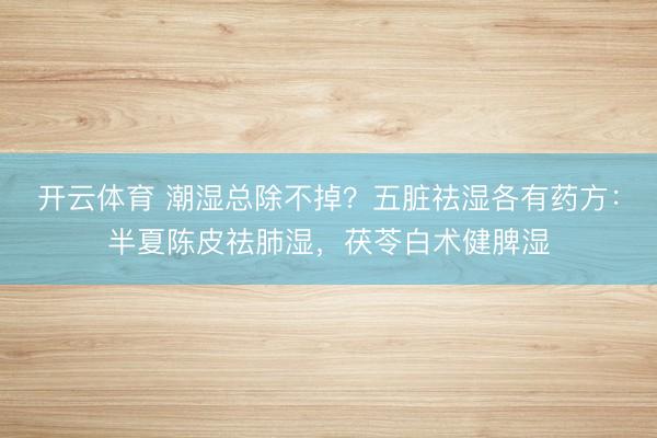 开云体育 潮湿总除不掉？五脏祛湿各有药方：半夏陈皮祛肺湿，茯苓白术健脾湿