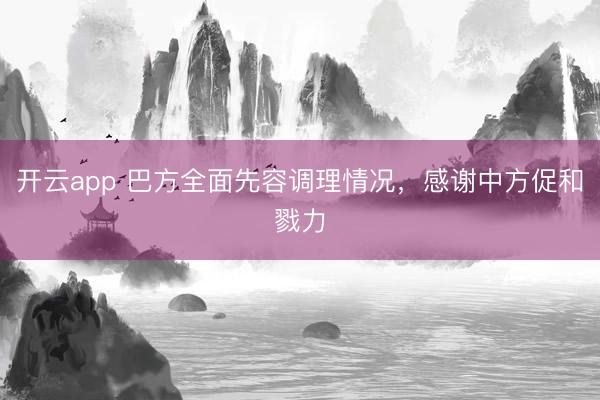 开云app 巴方全面先容调理情况，感谢中方促和戮力