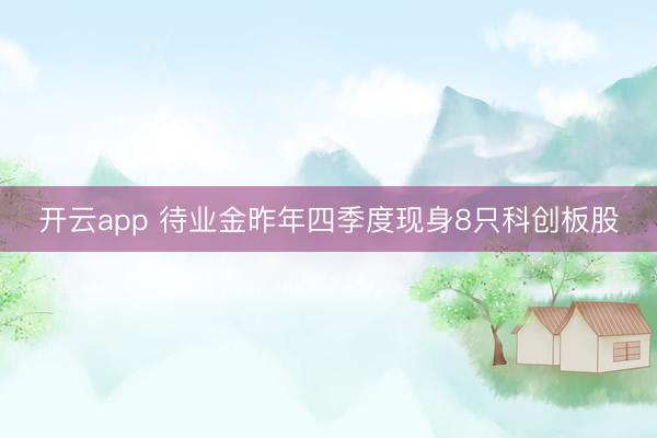 开云app 待业金昨年四季度现身8只科创板股