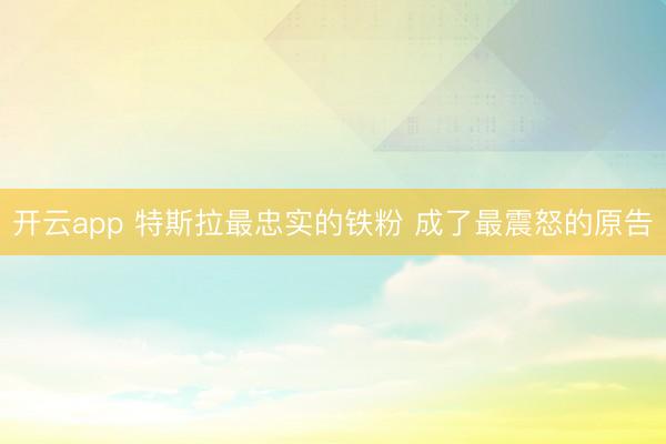 开云app 特斯拉最忠实的铁粉 成了最震怒的原告
